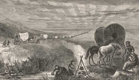 Old-Fashioned Sourdough Cake Recipe